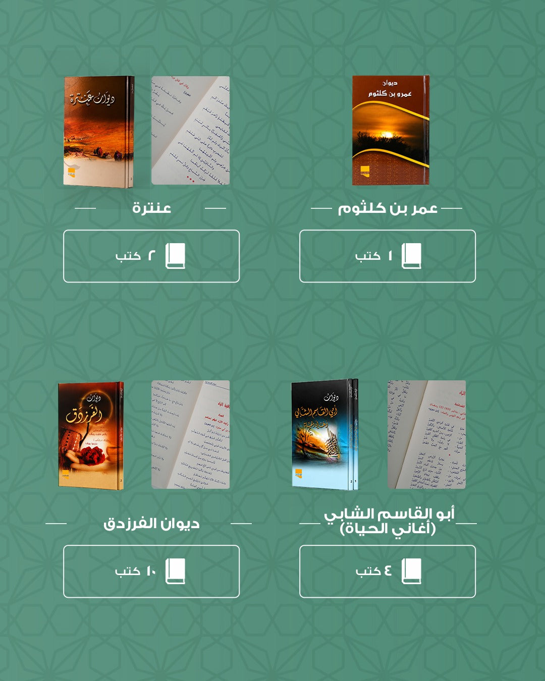 The literary library