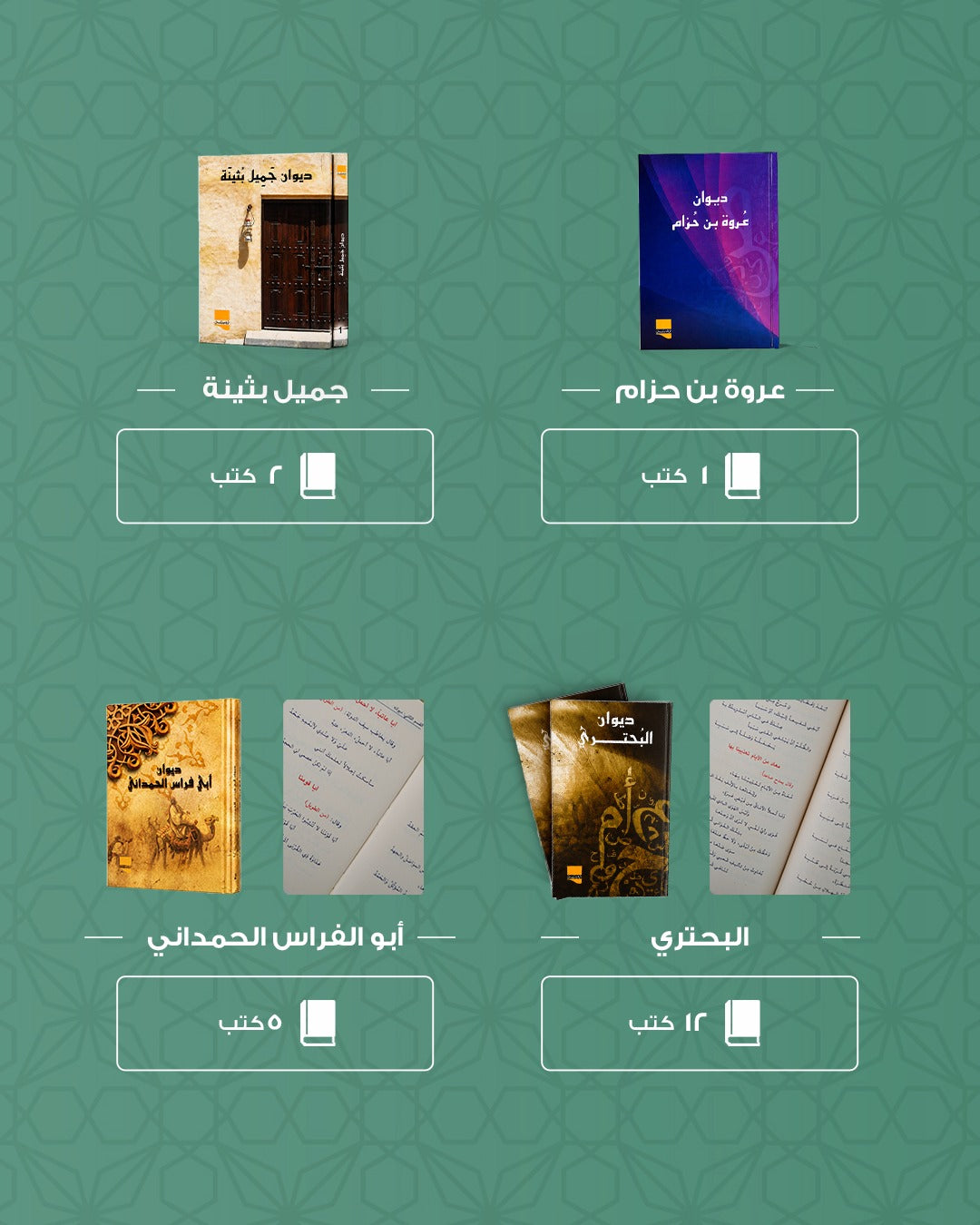 The literary library